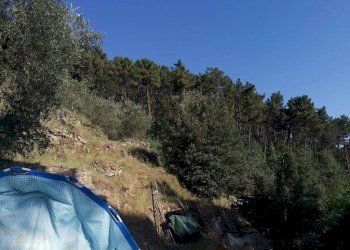 Foto 13 - Casa indipendente via di Panicale
 
250, Buti - foto 13