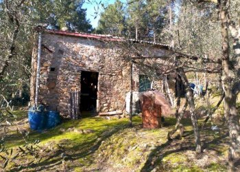 Foto 14 - Casa indipendente via di Panicale
 
250, Buti - foto 14