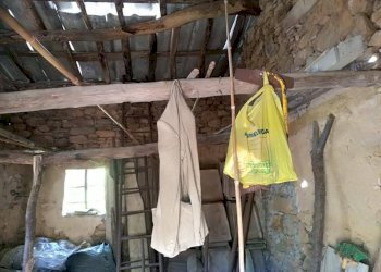 Foto 15 - Casa indipendente via di Panicale
 
250, Buti - foto 15