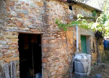 Foto 16 - Casa indipendente via di Panicale
 
250, Buti - foto 16