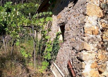 Foto 17 - Casa indipendente via di Panicale
 
250, Buti - foto 17