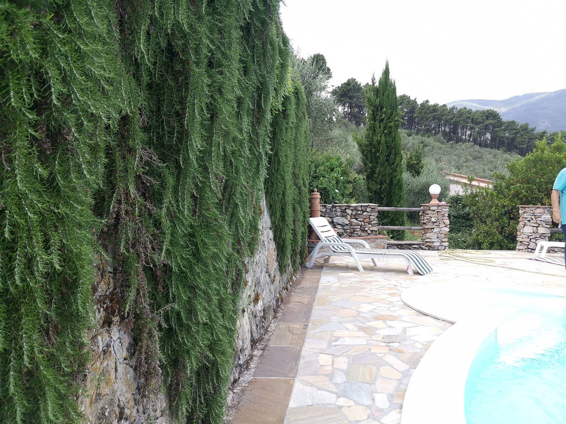 Foto 2 - Villa a Schiera via Cima alla serra
200, Buti - foto 2