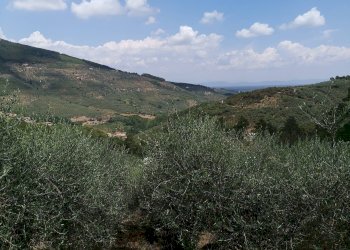 Foto 7 - Villa a Schiera via Cima alla serra
 
200, Buti - foto 7