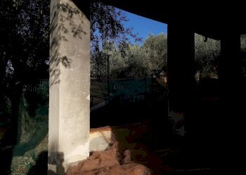 Foto 2 - Casa indipendente via Giovanni Rossini
 
-, Vicopisano - foto 2