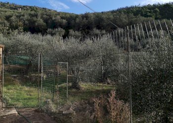 Foto 9 - Casa indipendente via Giovanni Rossini
 
-, Vicopisano - foto 9