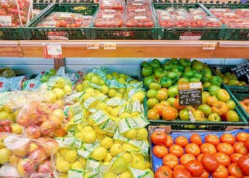 Foto 2 - Attività Commerciale Palaia - foto 2