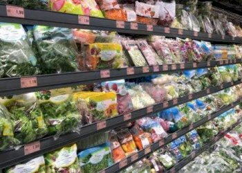 Foto 3 - Attività Commerciale Palaia - foto 3