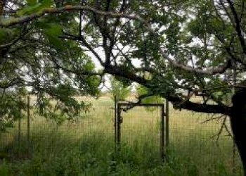 Foto 12 - Casa indipendente 56029 Santa Croce sull'Arno PI, Italia, Santa Croce sull'Arno - foto 12