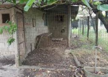 Foto 16 - Casa indipendente 56029 Santa Croce sull'Arno PI, Italia, Santa Croce sull'Arno - foto 16