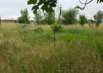 Foto 23 - Casa indipendente 56029 Santa Croce sull'Arno PI, Italia, Santa Croce sull'Arno - foto 23