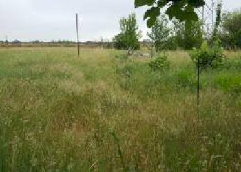 Foto 26 - Casa indipendente 56029 Santa Croce sull'Arno PI, Italia, Santa Croce sull'Arno - foto 26