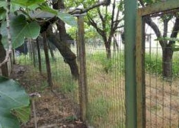 Foto 55 - Casa indipendente 56029 Santa Croce sull'Arno PI, Italia, Santa Croce sull'Arno - foto 55