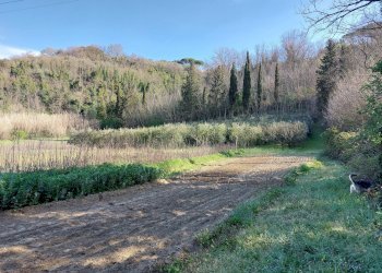 Foto 1 - Casa indipendente via delle colline per legoli, Palaia - foto 1