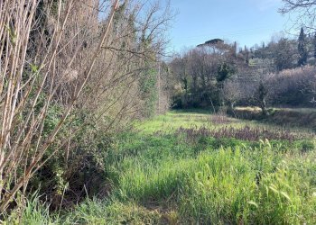 Foto 2 - Casa indipendente via delle colline per legoli, Palaia - foto 2