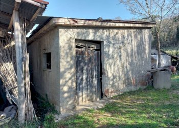 Foto 8 - Casa indipendente via delle colline per legoli, Palaia - foto 8