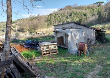 Foto 9 - Casa indipendente via delle colline per legoli, Palaia - foto 9