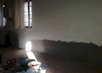 Foto 3 - Attività Commerciale toscanini, Vicopisano - foto 3