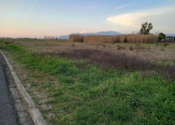Foto 2 - Terreno agricolo Via della Repubblica, Casciana Terme Lari - foto 2
