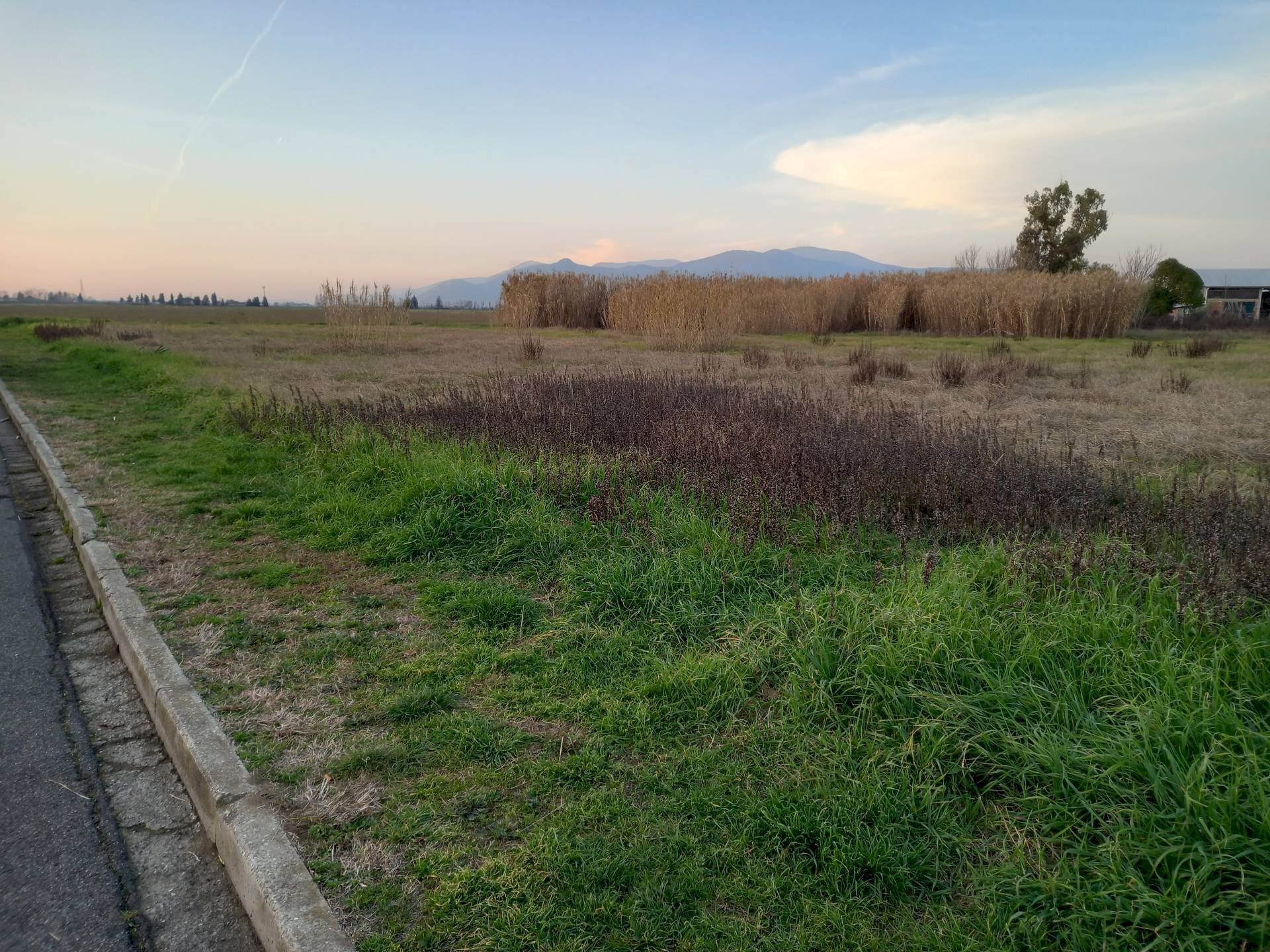 Foto 1 - Terreno agricolo Via della Repubblica, Casciana Terme Lari - foto 1