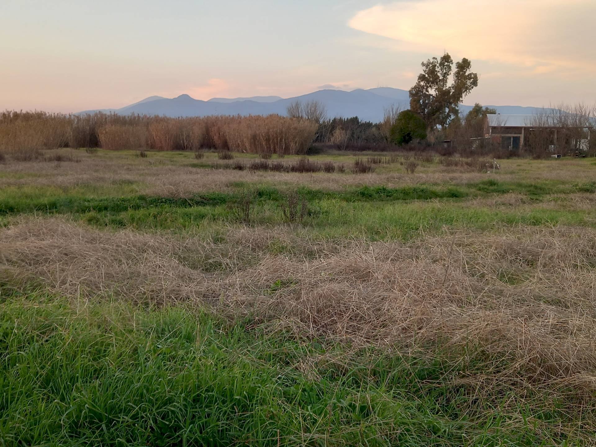 Foto 3 - Terreno agricolo Via della Repubblica, Casciana Terme Lari - foto 3
