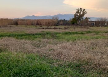 Foto 3 - Terreno agricolo Via della Repubblica, Casciana Terme Lari - foto 3