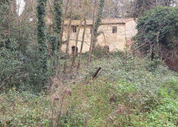 Foto 2 - Casa indipendente Via Belvedere
 
s.n.c, Crespina Lorenzana - foto 2