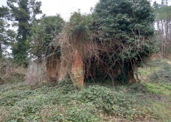 Foto 11 - Casa indipendente Via Belvedere
 
s.n.c, Crespina Lorenzana - foto 11