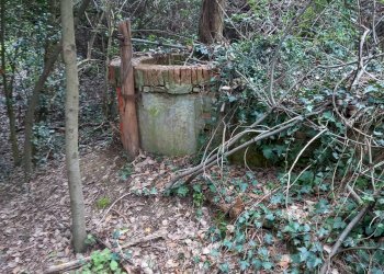 Foto 12 - Casa indipendente Via Belvedere
 
s.n.c, Crespina Lorenzana - foto 12