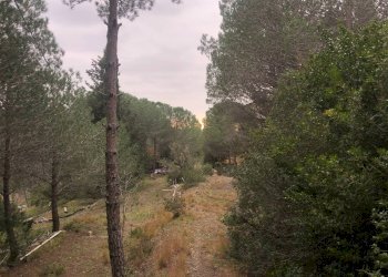 Foto 5 - Terraced Villa castellina marittima, Castellina Marittima - photo 5