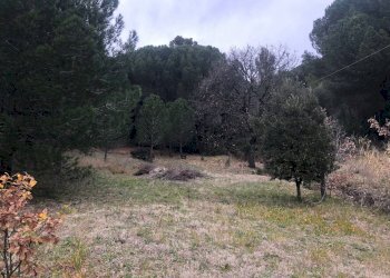 Foto 6 - Terraced Villa castellina marittima, Castellina Marittima - photo 6