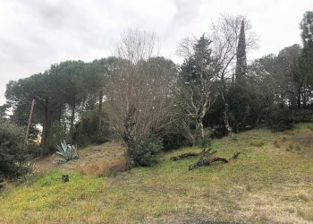 Foto 7 - Terraced Villa castellina marittima, Castellina Marittima - photo 7