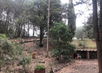 Foto 9 - Terraced Villa castellina marittima, Castellina Marittima - photo 9