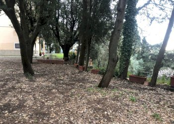 Foto 10 - Terraced Villa castellina marittima, Castellina Marittima - photo 10