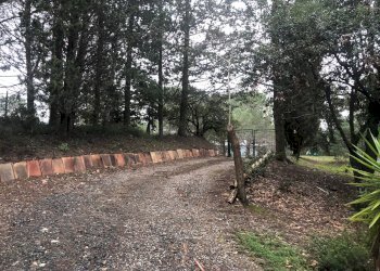 Foto 11 - Terraced Villa castellina marittima, Castellina Marittima - photo 11