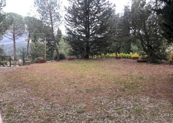 Foto 12 - Terraced Villa castellina marittima, Castellina Marittima - photo 12