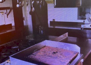 Foto 4 - Attività Commerciale Casteldelbosco, Montopoli in Val d'Arno - foto 4