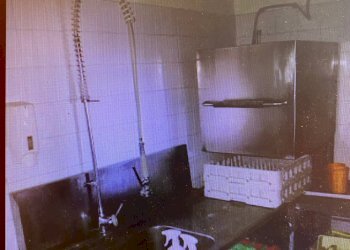 Foto 5 - Attività Commerciale Casteldelbosco, Montopoli in Val d'Arno - foto 5