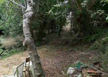 Foto 10 - Casa indipendente via delle Sughere
 
55, Buti - foto 10