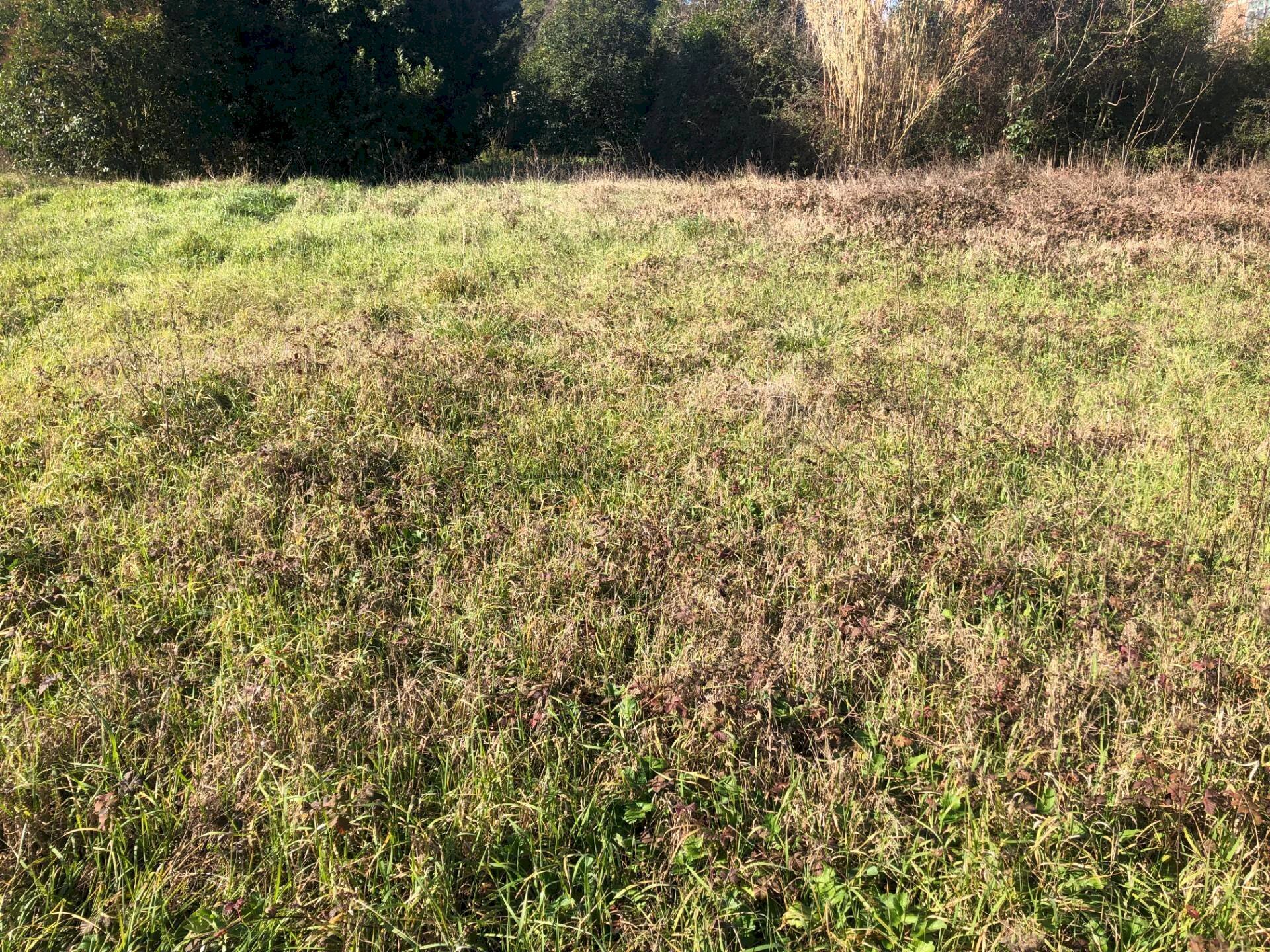 Foto 1 - Building land Via Fiorentina, Pontedera - photo 1