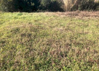 Foto 1 - Terreno edificabile Via Fiorentina, Pontedera - foto 1