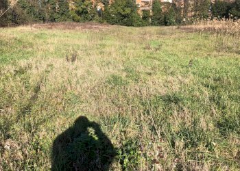 Foto 2 - Terreno edificabile Via Fiorentina, Pontedera - foto 2