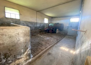 Foto 2 - Casa indipendente Via dei Girasoli
 
23, Montopoli in Val d'Arno - foto 2