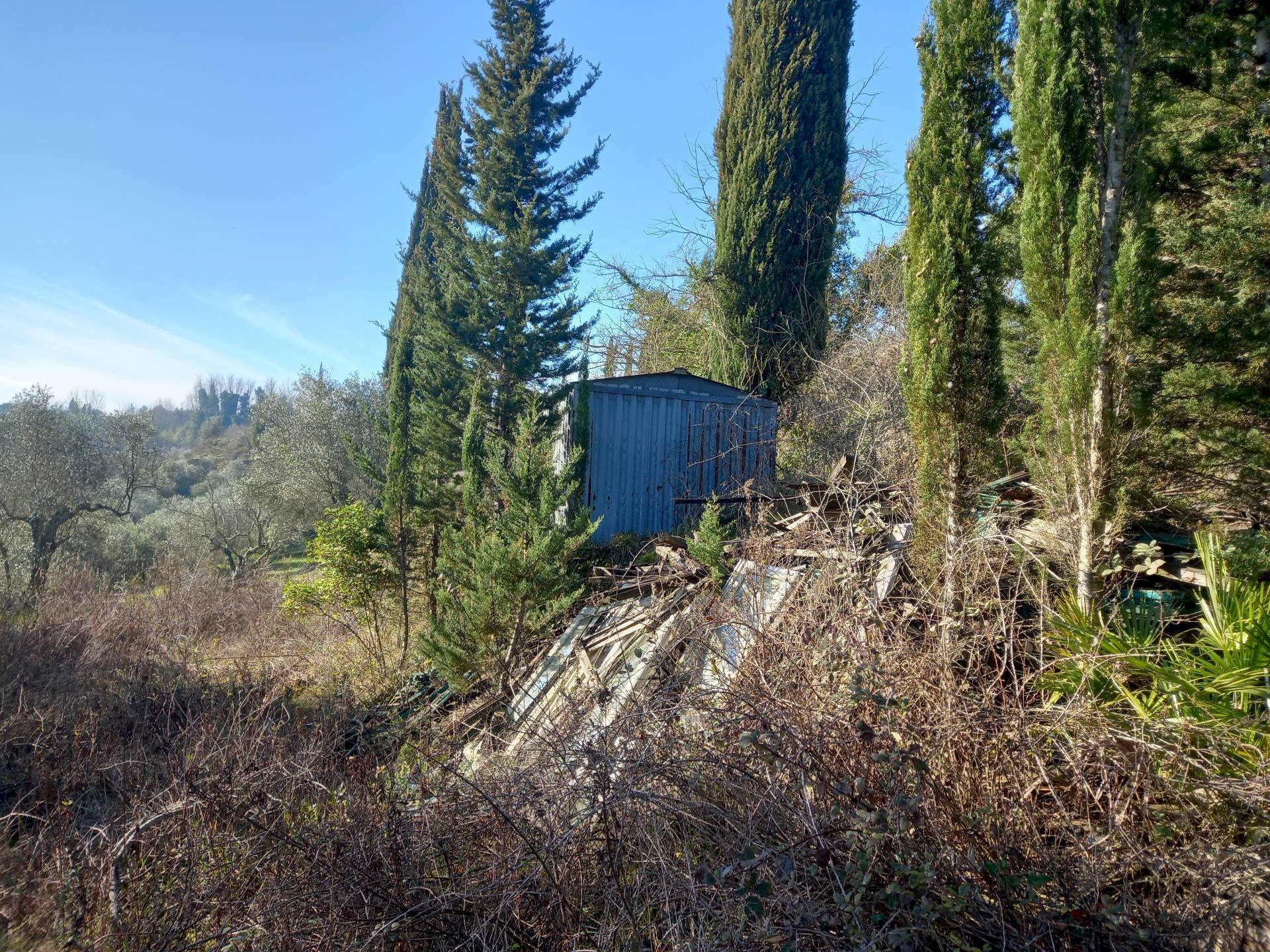 Foto 2 - Terreno agricolo Via La Capannina, Crespina Lorenzana - foto 2