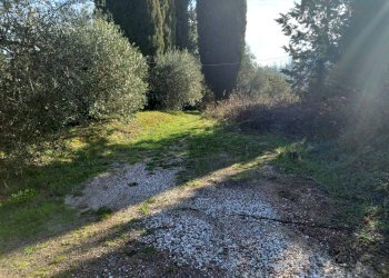 Foto 1 - Terreno agricolo Via La Capannina, Crespina Lorenzana - foto 1