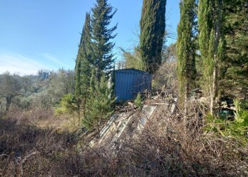 Foto 2 - Terreno agricolo Via La Capannina, Crespina Lorenzana - foto 2