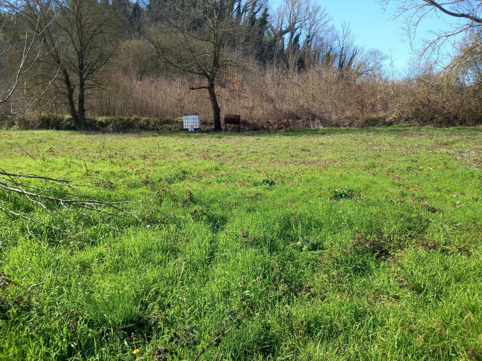 Foto 2 - Agricultural land Via del cormercio, Casciana Terme Lari - photo 2