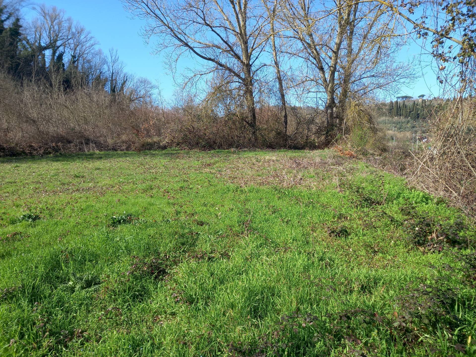 Foto 3 - Agricultural land Via del cormercio, Casciana Terme Lari - photo 3