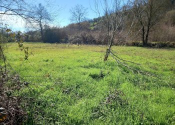 Foto 1 - Agricultural land Via del cormercio, Casciana Terme Lari - photo 1