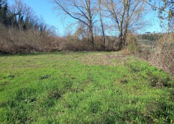 Foto 3 - Agricultural land Via del cormercio, Casciana Terme Lari - photo 3