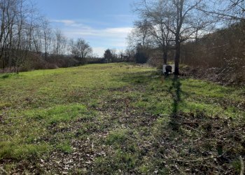 Foto 4 - Agricultural land Via del cormercio, Casciana Terme Lari - photo 4